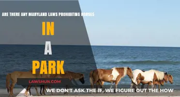 Maryland Laws: Are Horses Allowed in Public Parks?