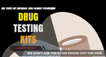 Michigan Laws on Drug Testing Kits: What You Need to Know