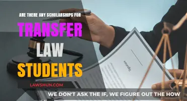 Scholarships for Transfer Law Students: Opportunities and How to Apply