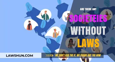 Do Law-Free Societies Exist? Exploring Cultures Beyond Legal Systems