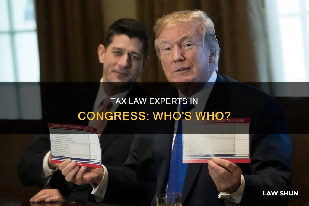 are there any tax law experts in congress