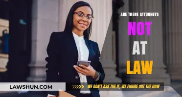 Are There Attorneys Not at Law? Exploring Legal Roles Beyond Traditional Practice