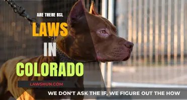 Colorado's BSL Laws: What You Need to Know