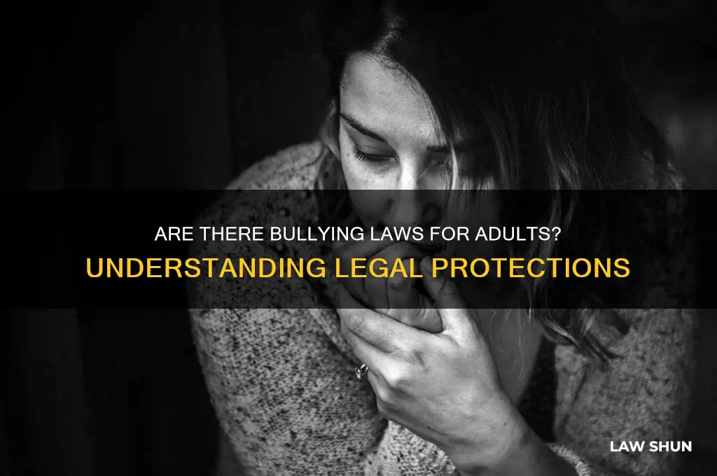 are there bullying laws for adults