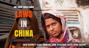 Child Labor Laws in China: Current Regulations and Enforcement Explained