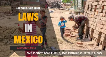 Child Labor Laws in Mexico: Understanding Protections and Challenges