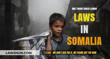 Child Labor Laws in Somalia: What Protections Exist for Minors?