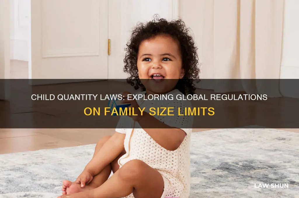 are there child quantitiy laws anywhere