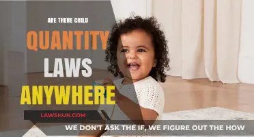 Child Quantity Laws: Do Global Limits on Family Size Exist?