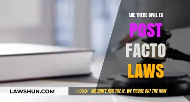 Do Civil Ex Post Facto Laws Exist? Exploring Legal Retroactivity