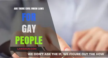Exploring Civil Union Laws for Gay Couples: Rights and Recognition