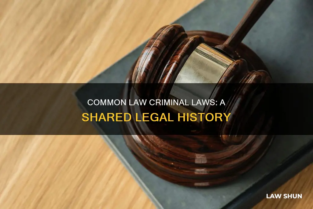 are there common law criminal laws