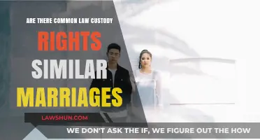 Understanding Custody Rights in Common Law Marriages