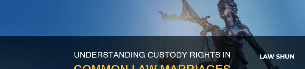 are there common law custody rights similar marriages