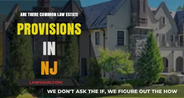 Understanding Common Law Estate Provisions in New Jersey