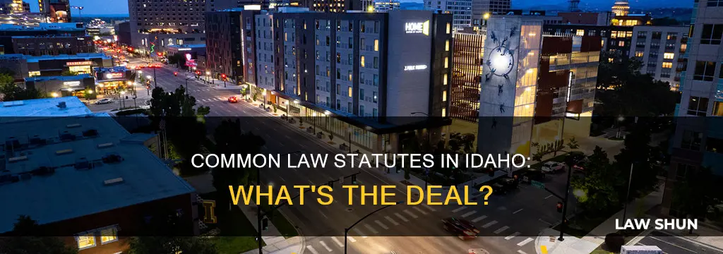 are there common law statutes in idaho