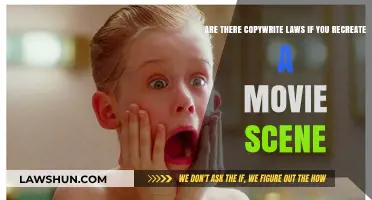 Recreating Movie Scenes: Navigating Copyright Laws and Fair Use