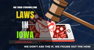 Iowa's Cyberbullying Laws: Understanding Legal Protections and Consequences