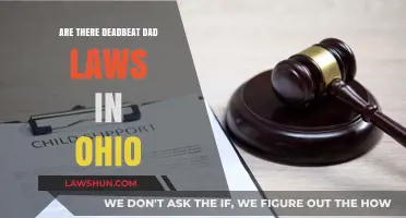 Ohio Deadbeat Dad Laws: Understanding Child Support Enforcement and Penalties