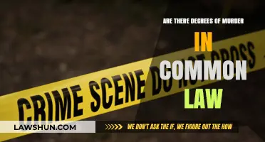 Degrees of Murder: Common Law Explained