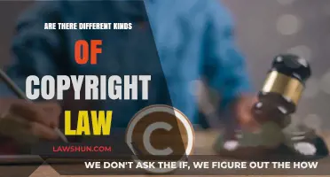 Understanding Copyright Law: Different Types, One Protection