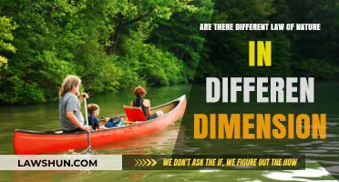 Exploring Nature's Laws Across Dimensions