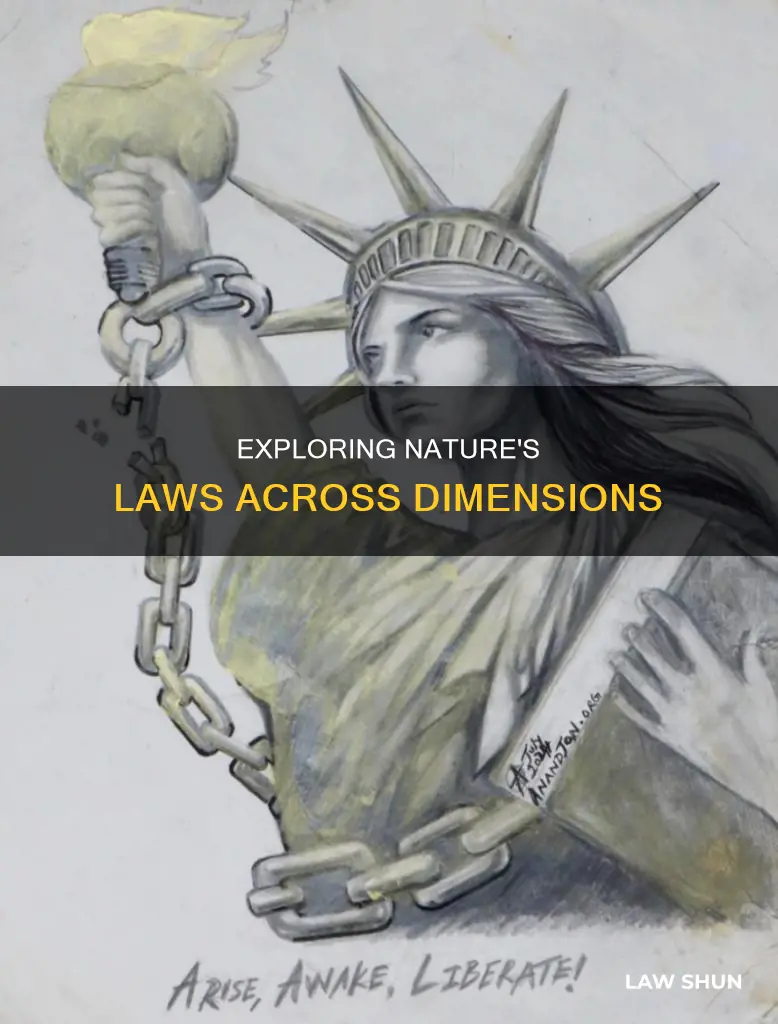 are there different law of nature in differen dimension