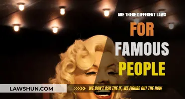 Famous People: Above the Law?