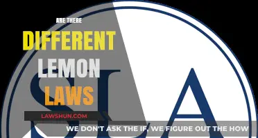 Lemon Laws: State-by-State Differences Explained