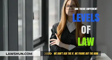 Understanding the Hierarchy of Law: Different Levels