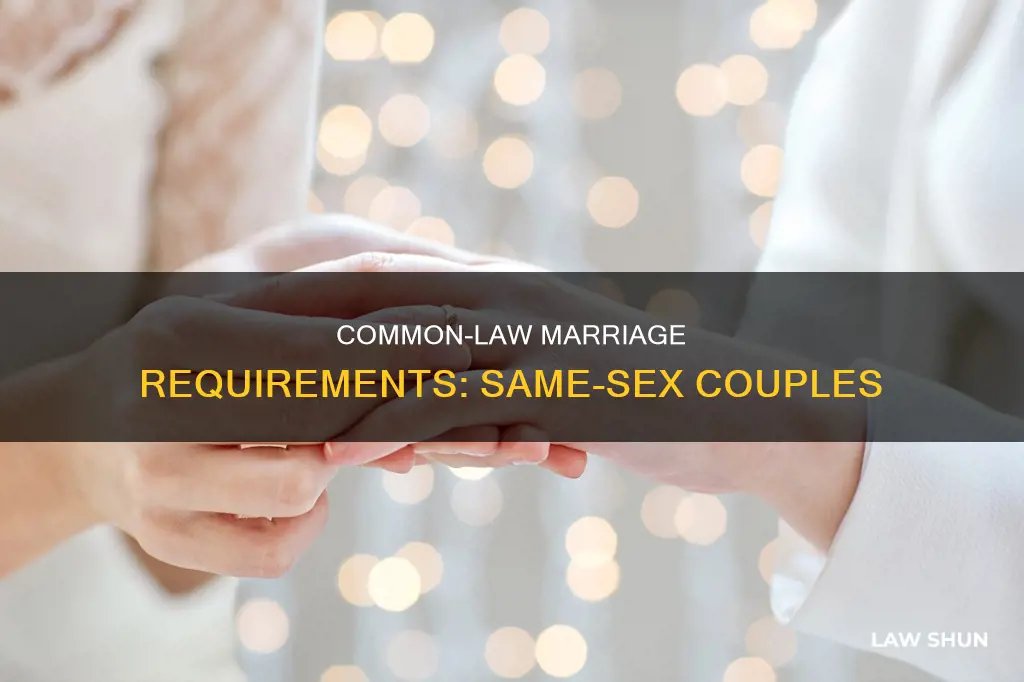 are there differernt requirments for same sex common law marriages