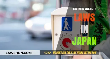 Understanding Japan's Disability Laws: Rights, Protections, and Accessibility