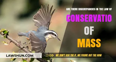 Challenging the Law of Conservation of Mass: Unraveling Potential Discrepancies