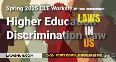 Discriminatory Laws in the US: Uncovering Inequality and Injustice Today