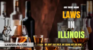 Understanding Illinois' DRAM Laws: What You Need to Know