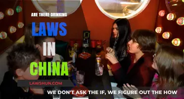 China's Drinking Laws: What You Need to Know Before Raising a Glass