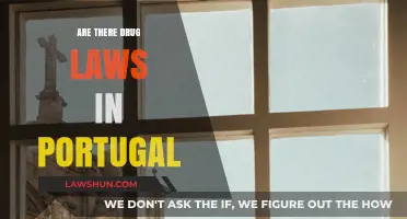Portugal's Drug Laws: Decriminalization, Policy, and Societal Impact Explained