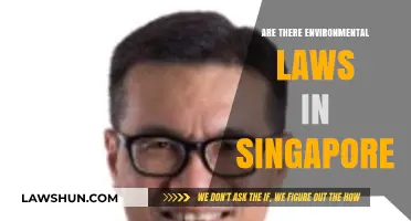 Singapore's Environmental Laws: Protecting Nature in an Urbanized Nation