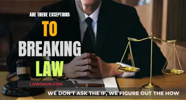 When is Breaking the Law Justified?