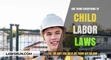 Child Labor Laws: Exploring Potential Exceptions and Their Implications