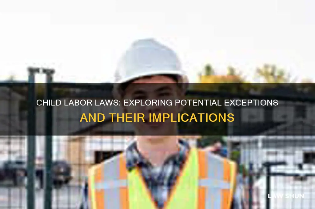 are there exceptions to child labor laws