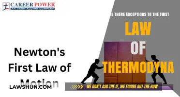 The First Law of Thermodynamics: Are There Exceptions?