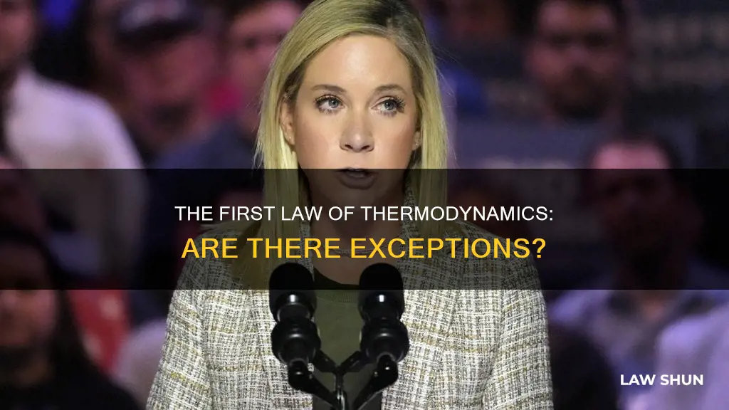 are there exceptions to the first law of thermodynamics