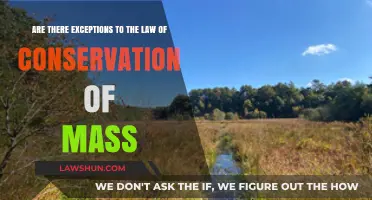 Exceptions to Conservation of Mass: Myth or Scientific Reality?