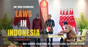 Understanding Indonesia's Extradition Laws: Key Insights and Legal Framework