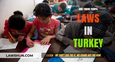 Understanding Turkey's Educational Privacy Laws: Are FERPA-Like Protections in Place?