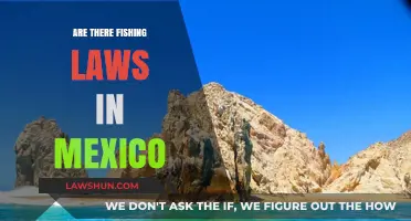 Understanding Mexico's Fishing Laws: Regulations and Permits for Anglers