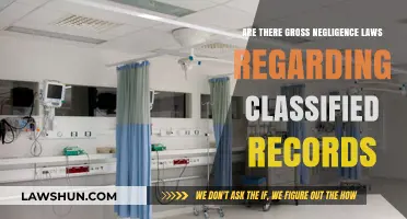 Gross Negligence and Classified Records: Legal Consequences Explained