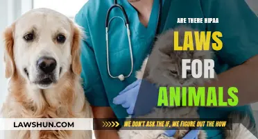 Do HIPAA Laws Protect Animal Health Records and Privacy?