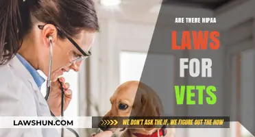 Do HIPAA Laws Apply to Veterinarians? Understanding Privacy Rules for Vets